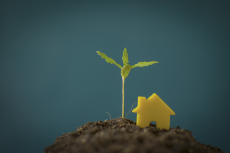 Money Saving Ideas for Homes, Financial and Financial Ideas, Saving Money in Preparing for the Future, Growing Up of Coinsの写真素材