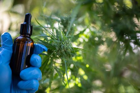 Cannabis CBD oil hemp products cannabis oil, CBD oil cannabis extract, Medical cannabis concept.の写真素材