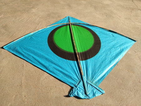 Kite flying festival is celebrated in India