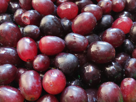 A Beautiful Black Raisins Photography Selective focus