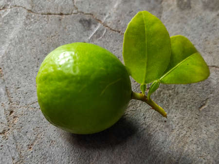 A Beautiful Green Lemon Photography In Handの写真素材