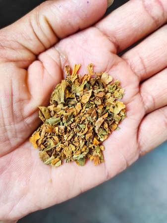 Tobacco kept in hand to eat. Words  No Tabacco Day Photosの写真素材