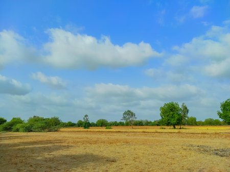 A Beutiful Short Of Monsoon Season Cloud And Tree Nature Beauty