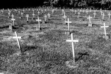 Cemetery or graveyard with many small, white crosses marking unknown deaths.の写真素材