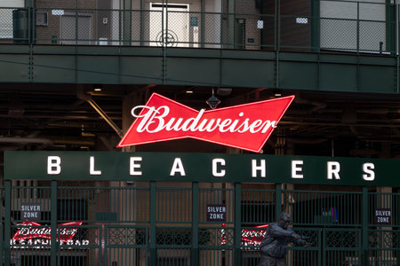 Chicago - Circa May 2021: Budweiser Bleachers seating area of Wrigley Field, Home of the Chicago Cubs. Wrigley Field has been home to the Cubs since 1916.のeditorial素材