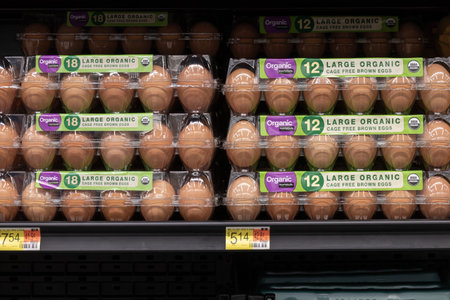 Indianapolis - Circa January 2023: Egg display at Walmart. Egg prices have gone up due to inflation...