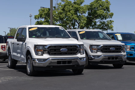 Zionsville - May 30, 2024: Used Ford F-150 display. With price concerns, Ford is buying and selling...