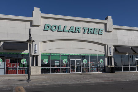 Plainfield - December 8, 2024: Dollar Tree Discount Store. Dollar Tree offers an eclectic mix of products for a dollar and a quarter. Or more.のeditorial素材