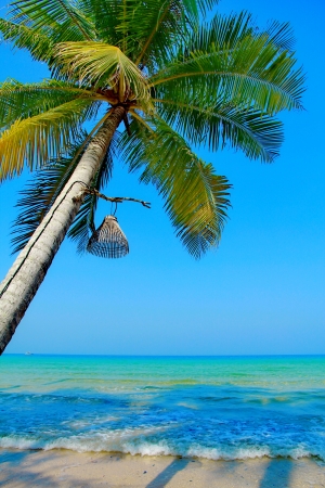 sea, thailandの写真素材