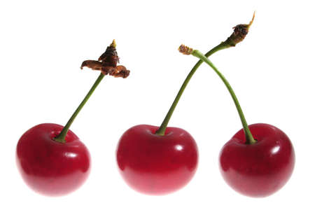 cherry on white backgroundの写真素材