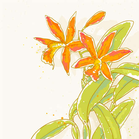 The contour drawing orchids flower with leafs  Can be used as background for invitation cards のイラスト素材