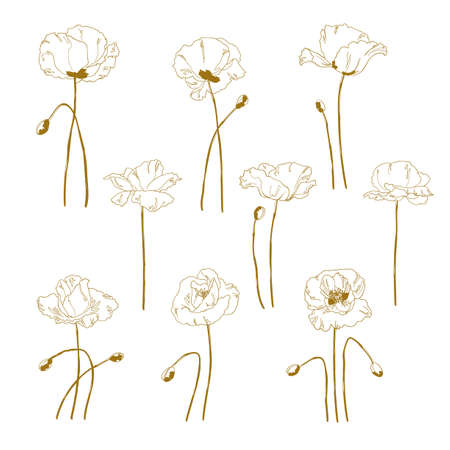 Set of one-colored outlined poppy isolated on white backgroundのイラスト素材