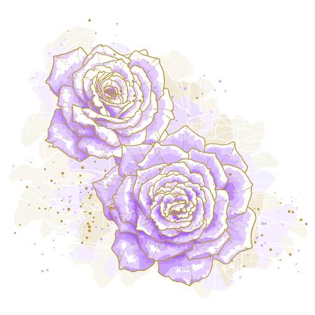 The contour drawing violet roses on white background  Watercolor style  Can be used as background for wedding invitation cards のイラスト素材