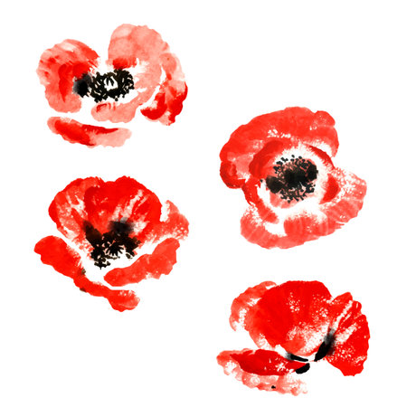 Set of red watercolor poppy flowersのイラスト素材