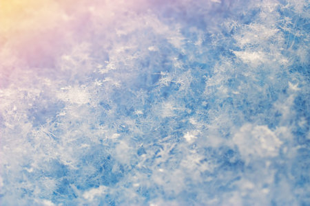 Macro image of the snow surface on sunset. Winter background.