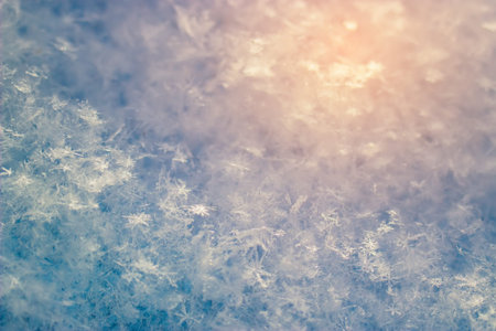 Macro image of the snow surface on sunset. Winter background.
