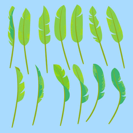 Collection of drawings of stylized green tropic leaves. Seasons - Summer or Springのイラスト素材