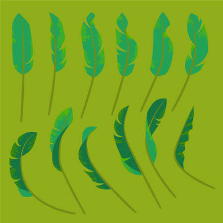 Collection of drawings of stylized green tropic leaves. Seasons - Summer or Springのイラスト素材