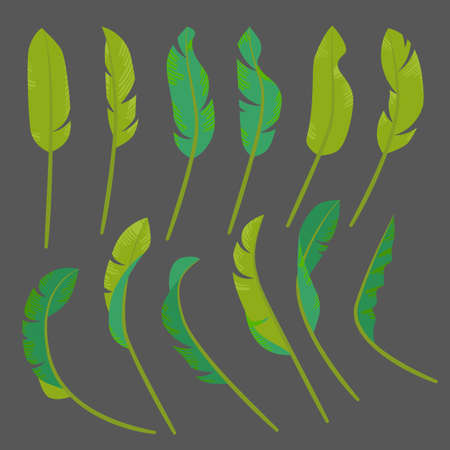 Collection of drawings of stylized green tropic leaves. Seasons - Summer or Springのイラスト素材