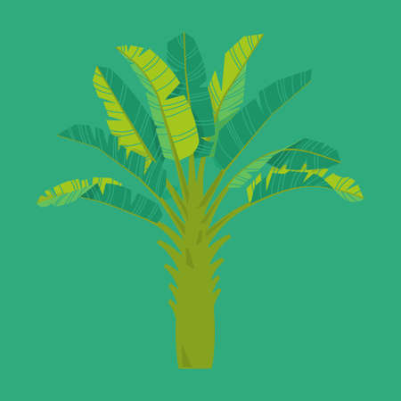 Templates for your design of invitations, cards or poster with large palm leaves, green mint colorのイラスト素材