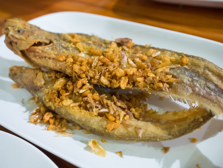 fried Sheatfish with crispy garlic on topの写真素材