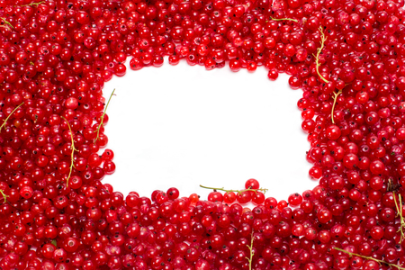 Fresh redcurrant background with white copy space in center. Isolatedの写真素材