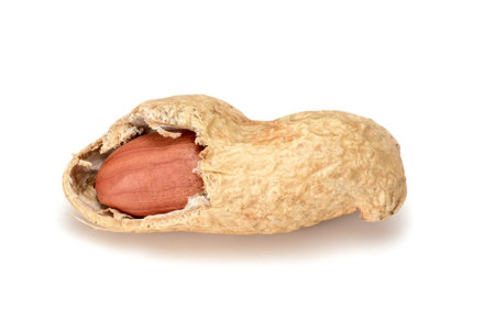 Peanuts. Open nut isolated on white background with kernel. Peanut macro close up. Full depth of...