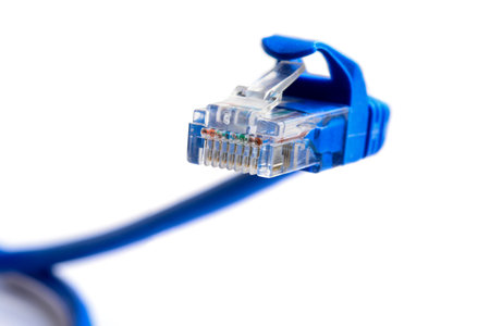 Connector rj-45 on blue patch cord for network LAN ethernet connection. Snake-shaped plug. Close up...
