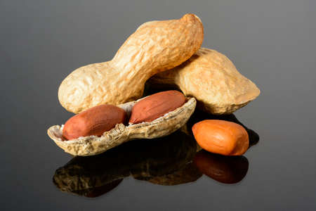 Peanut on glossy black surface with reflection. two peanuts with two kernels with open shell macro close up, high resolution full depth of field.の写真素材