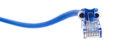 Connector rj-45 on blue patch cord. Snake-shaped plug with funny googly eyes. Close up macro...