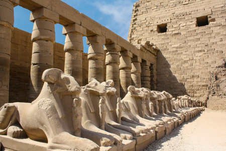 Karnak temple complex in Luxor, Egypt. Criosphinxes alley, guard sphinxes with the ram heads.