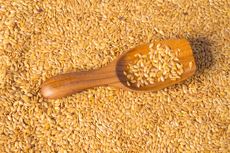 golden flax seed or linseedの写真素材