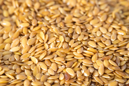closeup golden flax seed or linseedの写真素材