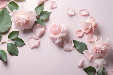 Beautiful roses on color background, top view. Space for textの素材