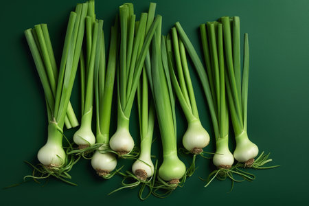 Fresh spring onions on green background. Top view. Flat lay.の素材
