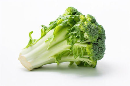 Broccoli isolated on white background. Shallow depth of field.の素材