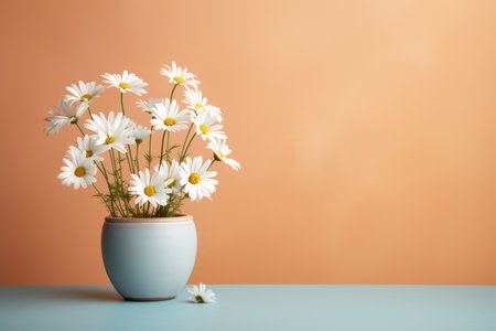 White daisies in a vase on a blue and orange backgroundの素材