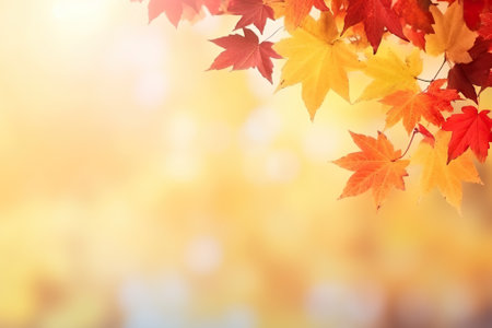 Autumn maple leaves on bokeh background with copy space.の素材