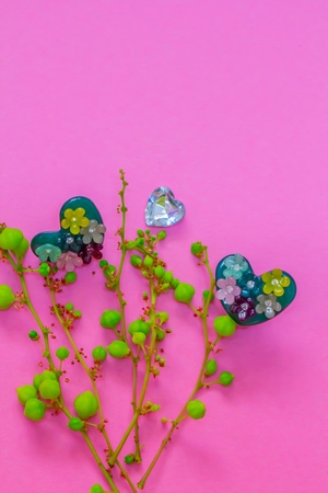 Gooseberry with green heart.の写真素材