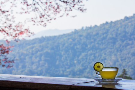 Hot lemon tea in clear glass, Behind the soft color blur background.の写真素材