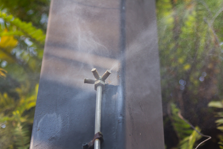 Automatic Spray water springer System to the tree in the Fern garden with beautiful sunshine natural light, blurred background.の写真素材