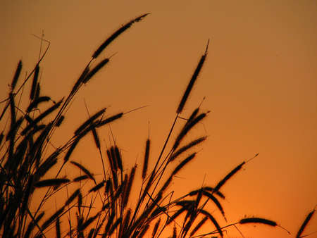 sun riseの写真素材