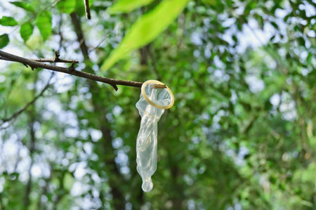 Closeup image of used condom hanging on a branchの写真素材