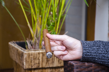 Hand keeps burning cigar with blurred plants in background.の写真素材