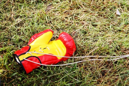 Gloves placed on the grass  Shoot at Chiang Khan, Loei, Thailandの写真素材