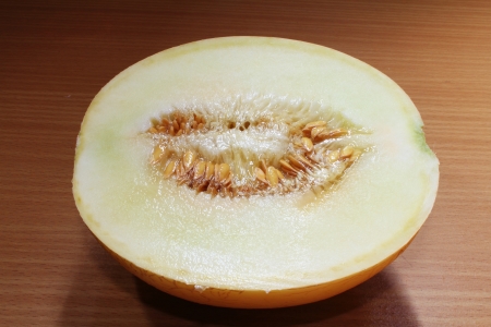 Melon plants in natural lightの写真素材