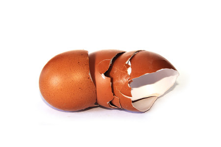 eggshell isolated on white background.