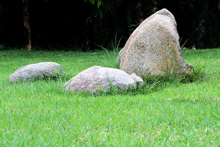 stones on the grassの写真素材