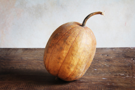 dry wax gourdの写真素材