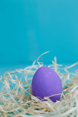 Violet Easter egg in hay on blue background, close up. Copy spacの写真素材